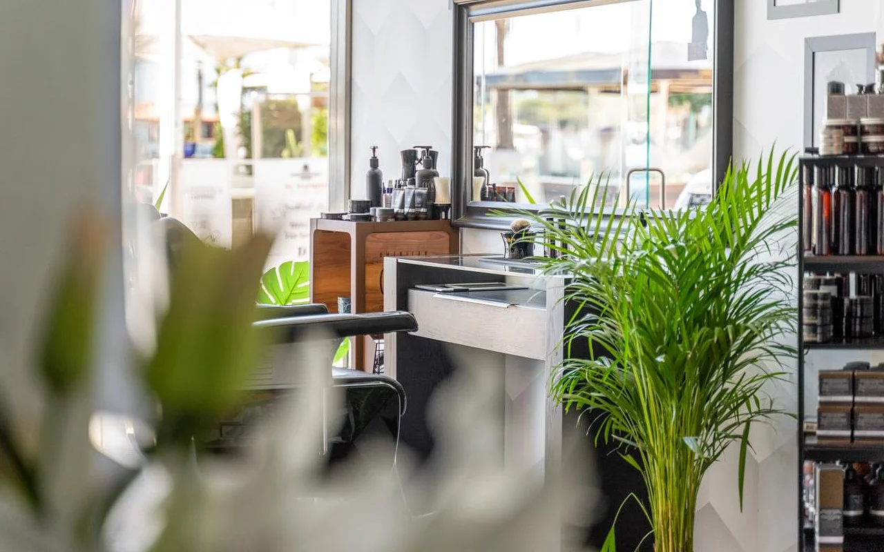 A hair salon styling station glimpsed past leafy green plants, with grooming products arranged on a wooden counter and shelves and bright daylight coming through the window behind.